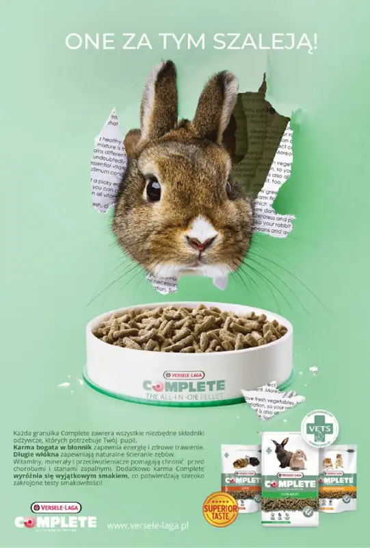 Aquael zoo - gazetka promocyjna Gazetka od czwartku 03.10 do czwartku 31.10 - strona 10