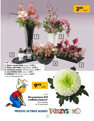 PSB Mrówka - gazetka promocyjna Gazetka od czwartku 10.10 do soboty 19.10 - strona 31