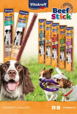 Aquael zoo - gazetka promocyjna Gazetka od wtorku 05.11 do soboty 30.11 - strona 16