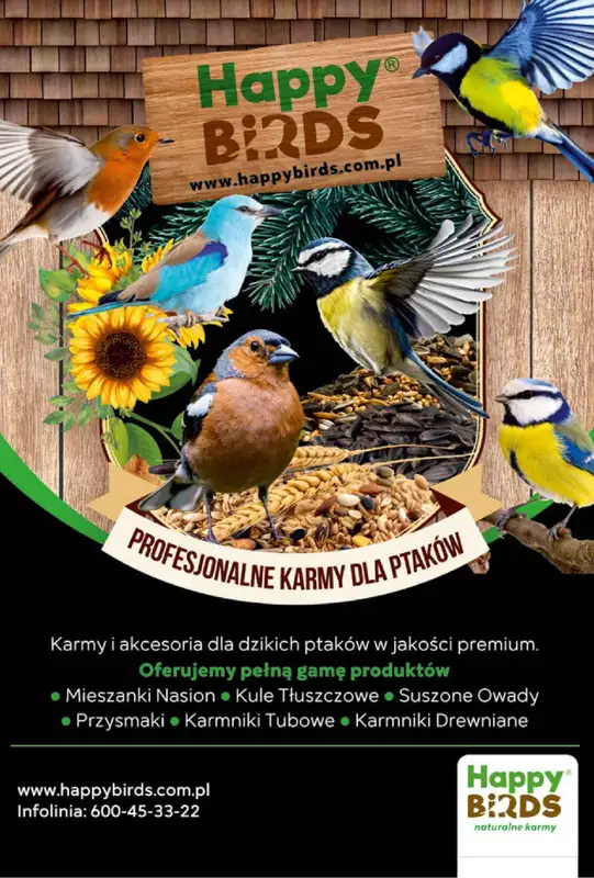 Aquael zoo - gazetka promocyjna Gazetka od wtorku 05.11 do soboty 30.11 - strona 9