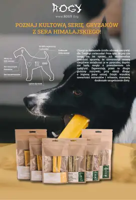 Aquael zoo - gazetka promocyjna Gazetka od wtorku 05.11 do soboty 30.11 - strona 2