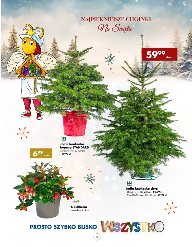 PSB Mrówka - gazetka promocyjna Gazetka od czwartku 05.12 do niedzieli 15.12 - strona 5