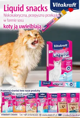 Aquael zoo - gazetka promocyjna Gazetka od wtorku 03.12 do wtorku 31.12 - strona 12