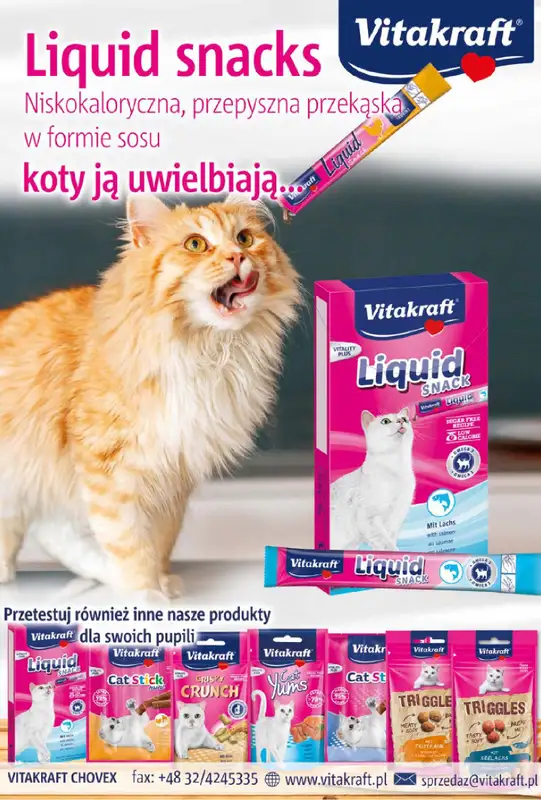 Aquael zoo - gazetka promocyjna Gazetka od wtorku 03.12 do wtorku 31.12 - strona 12