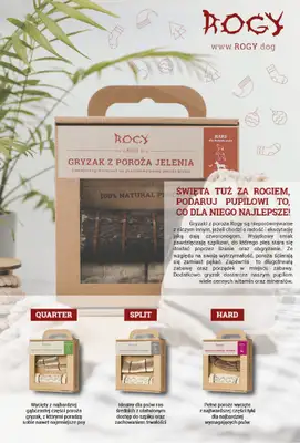 Aquael zoo - gazetka promocyjna Gazetka od wtorku 03.12 do wtorku 31.12 - strona 2