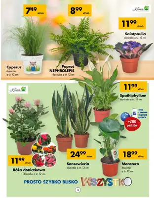 PSB Mrówka - gazetka promocyjna Gazetka od czwartku 16.01 do niedzieli 26.01 - strona 18