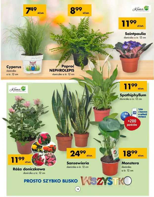 PSB Mrówka - gazetka promocyjna Gazetka od czwartku 16.01 do niedzieli 26.01 - strona 18