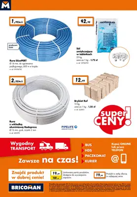 Bricoman - gazetka promocyjna Gazetka od poniedziałku 13.01 do niedzieli 02.02 - strona 10