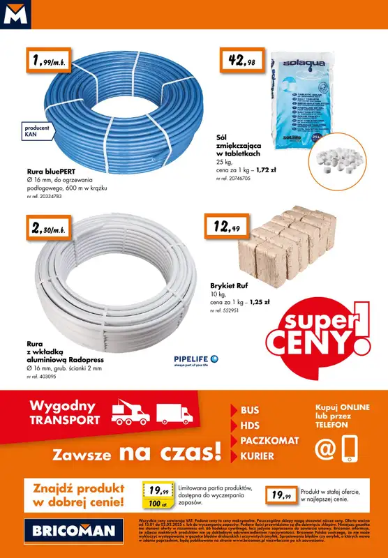 Bricoman - gazetka promocyjna Gazetka od poniedziałku 13.01 do niedzieli 02.02 - strona 10