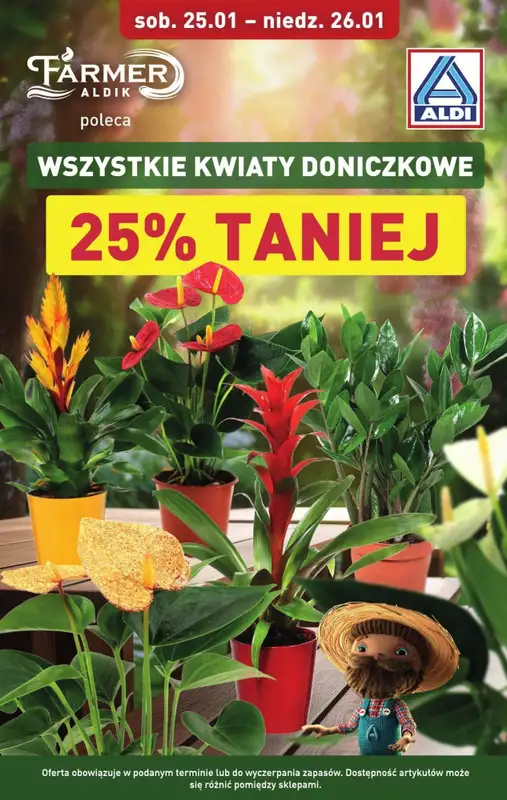 #OKAZJE w sklepach - gazetka promocyjna Weekend super cen w Aldi! od czwartku 23.01 do niedzieli 26.01 - strona 5