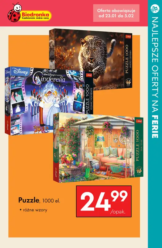 #OKAZJE w sklepach - gazetka promocyjna Zabawy na ferie - najlepsze oferty od czwartku 23.01 do wtorku 28.01 - strona 9