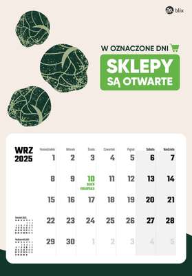 Niedziele handlowe - gazetka promocyjna Niedziele handlowe 2025  do środy 31.12 - strona 9