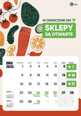 Niedziele handlowe - gazetka promocyjna Niedziele handlowe 2025  do środy 31.12 - strona 12