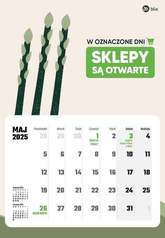 Niedziele handlowe - gazetka promocyjna Niedziele handlowe 2025  do środy 31.12 - strona 5