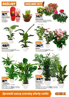 OBI - gazetka promocyjna Gazetka od środy 29.01 do wtorku 18.02 - strona 9
