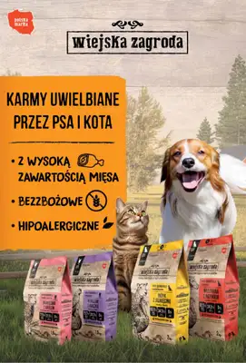 Aquael zoo - gazetka promocyjna Gazetka od wtorku 04.02 do piątku 28.02 - strona 11 Aquael zoo - gazetka promocyjna Gazetka od wtorku 04.02 do piątku 28.02 - strona 11