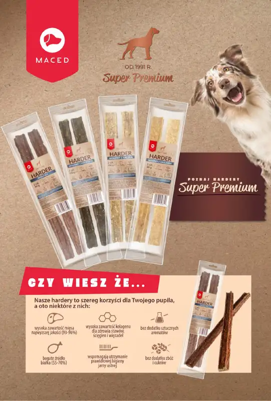 Aquael zoo - gazetka promocyjna Gazetka od wtorku 04.02 do piątku 28.02 - strona 13