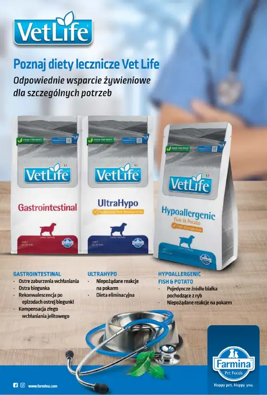 Aquael zoo - gazetka promocyjna Gazetka od wtorku 04.02 do piątku 28.02 - strona 10