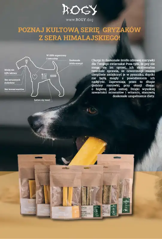 Aquael zoo - gazetka promocyjna Gazetka od wtorku 04.02 do piątku 28.02 - strona 12