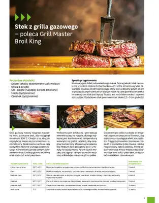 Leroy Merlin - gazetka promocyjna Katalog Grille 2025 od poniedziałku 10.03 do niedzieli 30.11 - strona 3 Leroy Merlin - gazetka promocyjna Katalog Grille 2025 od poniedziałku 10.03 do niedzieli 30.11 - strona 3