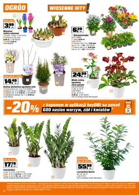 OBI - gazetka promocyjna OBI - katalog ogród od środy 12.03 do wtorku 25.03 - strona 2