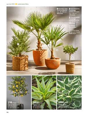 Castorama - gazetka promocyjna Katalog Ogrody, tarasy i balkony 2025 od środy 12.03 do środy 31.12 - strona 128