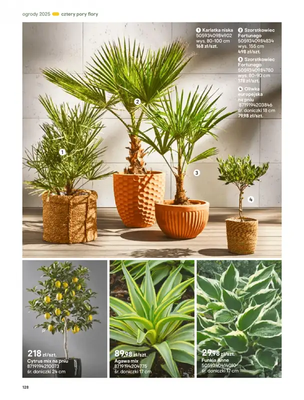 Castorama - gazetka promocyjna Katalog Ogrody, tarasy i balkony 2025 od środy 12.03 do środy 31.12 - strona 128