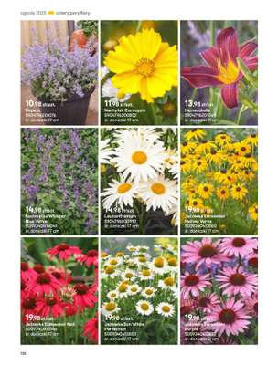 Castorama - gazetka promocyjna Katalog Ogrody, tarasy i balkony 2025 od środy 12.03 do środy 31.12 - strona 132