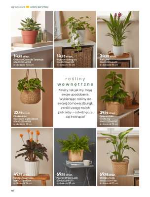 Castorama - gazetka promocyjna Katalog Ogrody, tarasy i balkony 2025 od środy 12.03 do środy 31.12 - strona 140