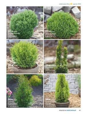 Castorama - gazetka promocyjna Katalog Ogrody, tarasy i balkony 2025 od środy 12.03 do środy 31.12 - strona 127