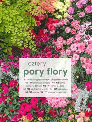 Castorama - gazetka promocyjna Katalog Ogrody, tarasy i balkony 2025 od środy 12.03 do środy 31.12 - strona 114