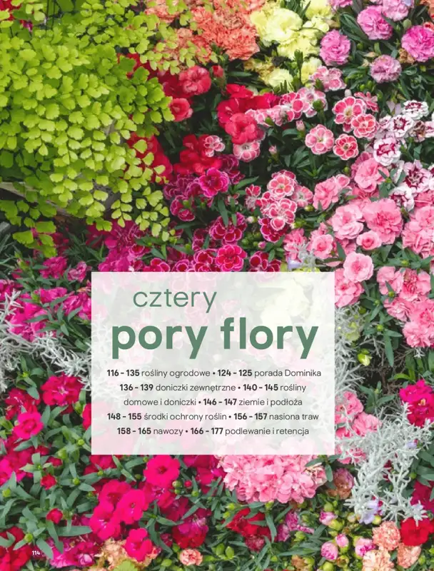 Castorama - gazetka promocyjna Katalog Ogrody, tarasy i balkony 2025 od środy 12.03 do środy 31.12 - strona 114