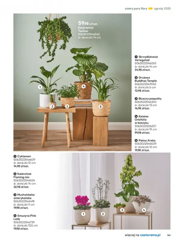 Castorama - gazetka promocyjna Katalog Ogrody, tarasy i balkony 2025 od środy 12.03 do środy 31.12 - strona 141