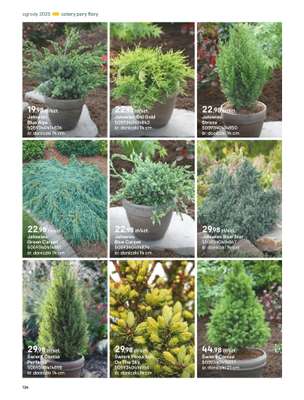 Castorama - gazetka promocyjna Katalog Ogrody, tarasy i balkony 2025 od środy 12.03 do środy 31.12 - strona 126