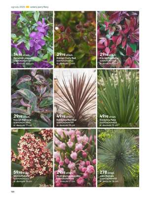 Castorama - gazetka promocyjna Katalog Ogrody, tarasy i balkony 2025 od środy 12.03 do środy 31.12 - strona 120