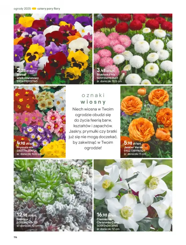 Castorama - gazetka promocyjna Katalog Ogrody, tarasy i balkony 2025 od środy 12.03 do środy 31.12 - strona 116