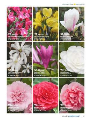 Castorama - gazetka promocyjna Katalog Ogrody, tarasy i balkony 2025 od środy 12.03 do środy 31.12 - strona 117