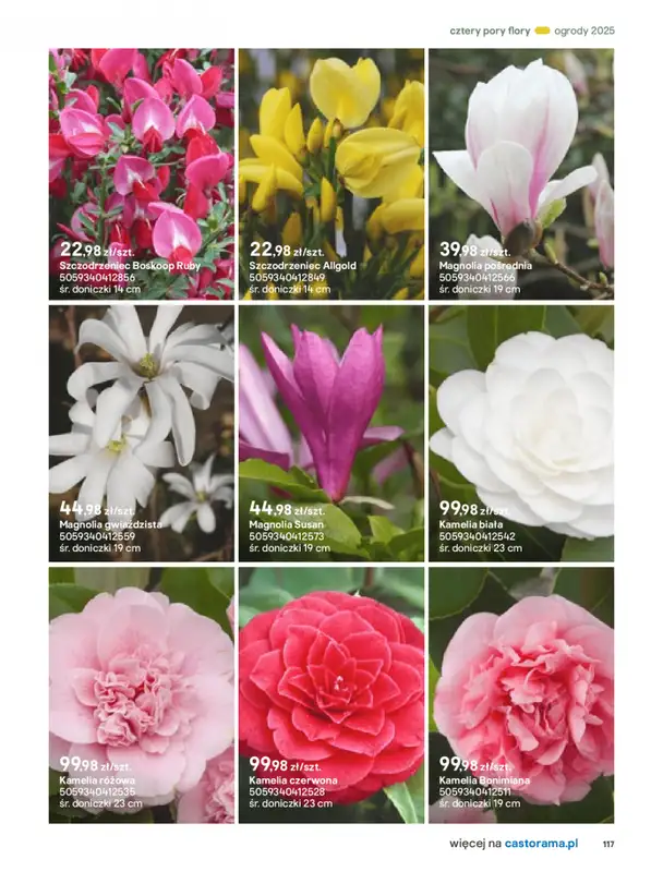 Castorama - gazetka promocyjna Katalog Ogrody, tarasy i balkony 2025 od środy 12.03 do środy 31.12 - strona 117