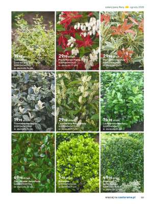 Castorama - gazetka promocyjna Katalog Ogrody, tarasy i balkony 2025 od środy 12.03 do środy 31.12 - strona 121