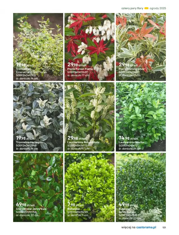Castorama - gazetka promocyjna Katalog Ogrody, tarasy i balkony 2025 od środy 12.03 do środy 31.12 - strona 121