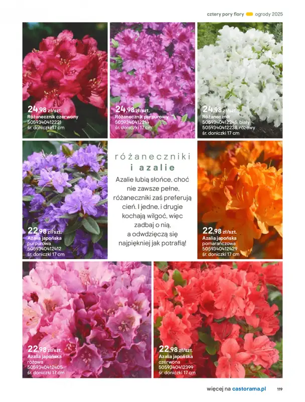 Castorama - gazetka promocyjna Katalog Ogrody, tarasy i balkony 2025 od środy 12.03 do środy 31.12 - strona 119