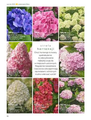 Castorama - gazetka promocyjna Katalog Ogrody, tarasy i balkony 2025 od środy 12.03 do środy 31.12 - strona 118