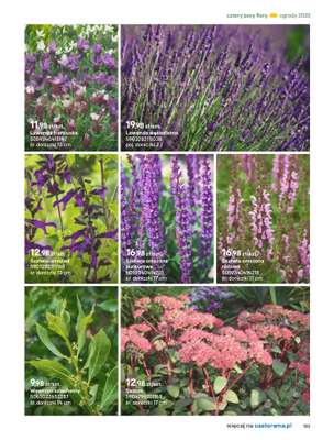 Castorama - gazetka promocyjna Katalog Ogrody, tarasy i balkony 2025 od środy 12.03 do środy 31.12 - strona 133