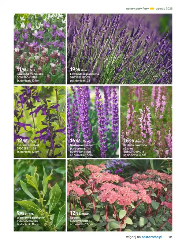 Castorama - gazetka promocyjna Katalog Ogrody, tarasy i balkony 2025 od środy 12.03 do środy 31.12 - strona 133