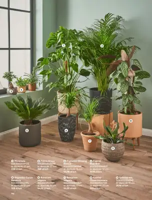 Castorama - gazetka promocyjna Katalog Ogrody, tarasy i balkony 2025 od środy 12.03 do środy 31.12 - strona 142 Castorama - gazetka promocyjna Katalog Ogrody, tarasy i balkony 2025 od środy 12.03 do środy 31.12 - strona 142