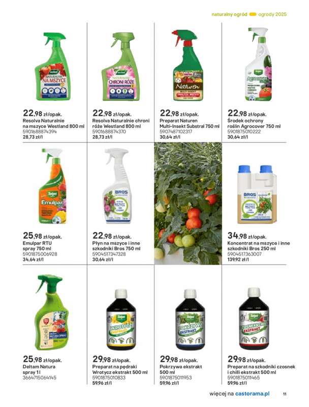 Castorama - gazetka promocyjna Katalog Ogrody, tarasy i balkony 2025 od środy 12.03 do środy 31.12 - strona 11