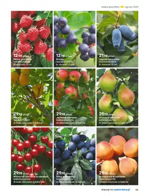 Castorama - gazetka promocyjna Katalog Ogrody, tarasy i balkony 2025 od środy 12.03 do środy 31.12 - strona 135 Castorama - gazetka promocyjna Katalog Ogrody, tarasy i balkony 2025 od środy 12.03 do środy 31.12 - strona 135