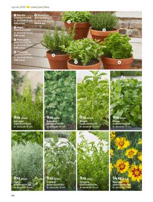 Castorama - gazetka promocyjna Katalog Ogrody, tarasy i balkony 2025 od środy 12.03 do środy 31.12 - strona 134