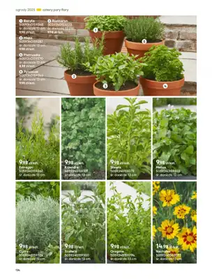 Castorama - gazetka promocyjna Katalog Ogrody, tarasy i balkony 2025 od środy 12.03 do środy 31.12 - strona 134 Castorama - gazetka promocyjna Katalog Ogrody, tarasy i balkony 2025 od środy 12.03 do środy 31.12 - strona 134