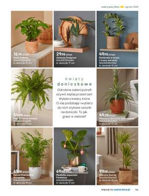 Castorama - gazetka promocyjna Katalog Ogrody, tarasy i balkony 2025 od środy 12.03 do środy 31.12 - strona 143